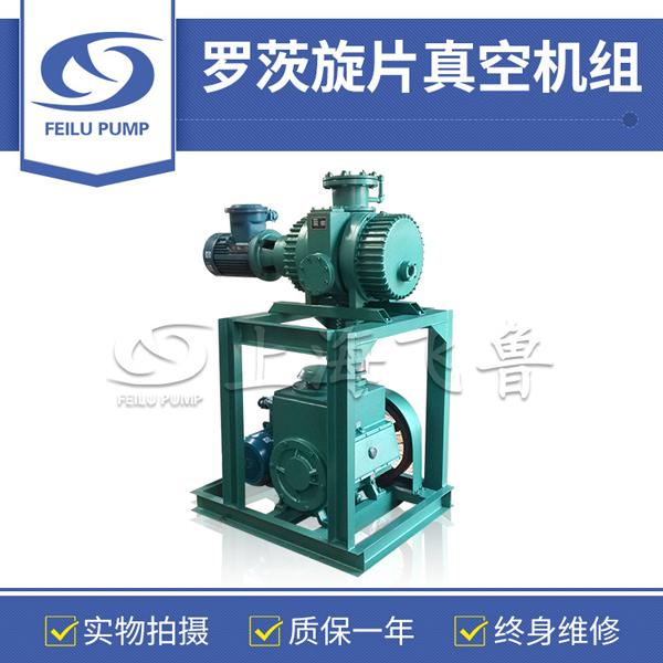 環(huán)氧樹(shù)脂真空澆注用羅茨旋片真空機(jī)組